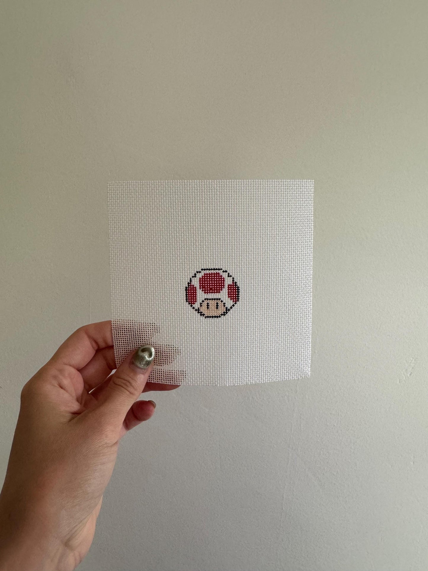 Toad Inspired Mini