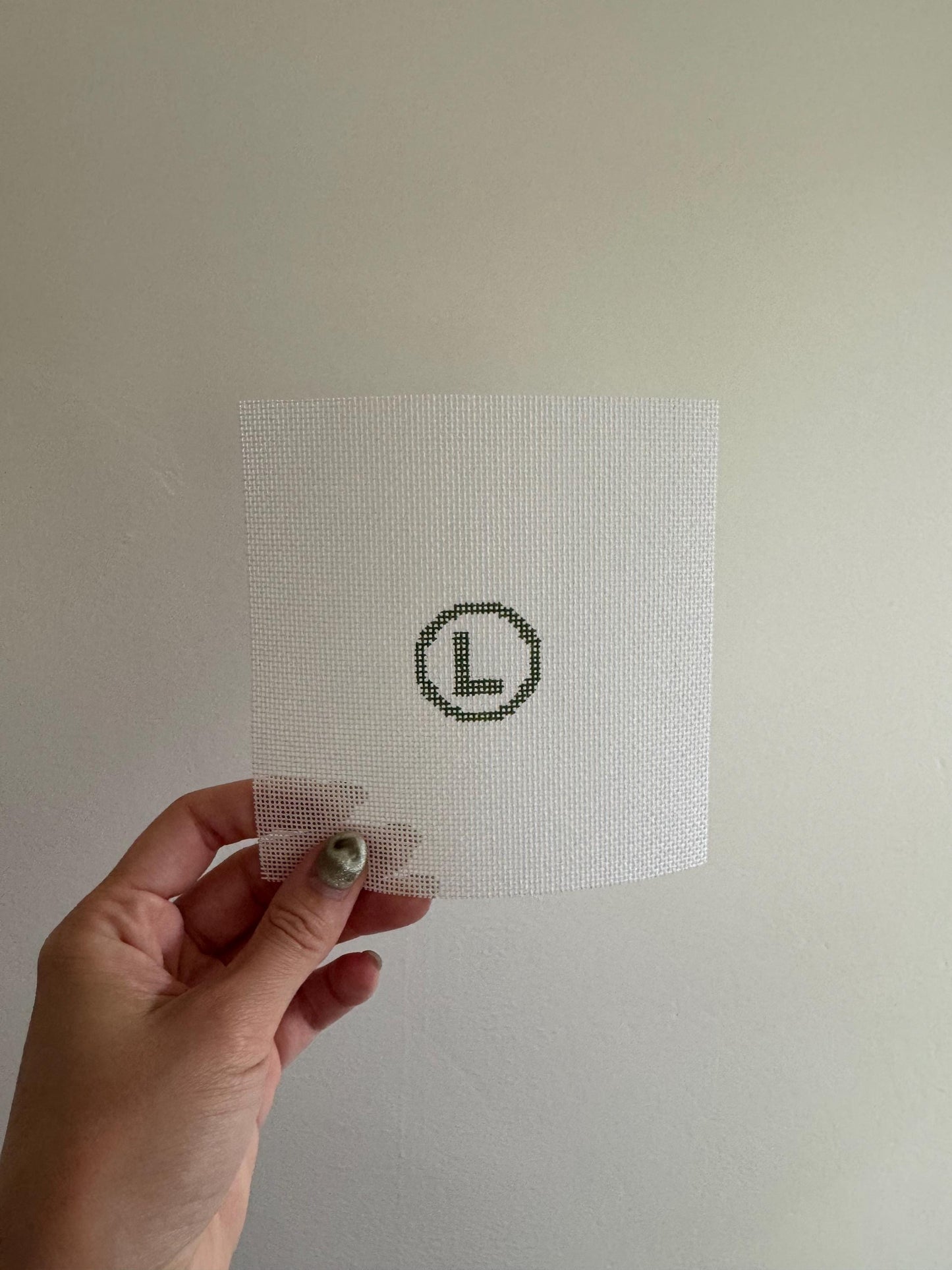 Luigi Inspired Mini